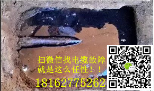 微信就可以找黄瓜视频在线免费观看了.jpg