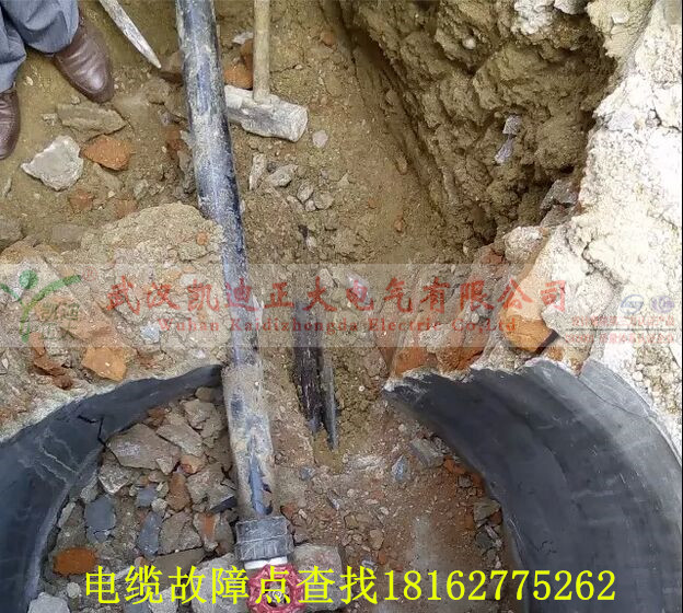 黄瓜视频在线免费观看点找出.jpg