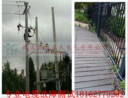 黄瓜视频在线免费观看检测查找.jpg
