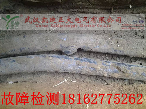 直埋黄瓜视频在线免费观看问题点.jpg