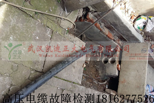 高压黄瓜视频在线免费观看检测.jpg