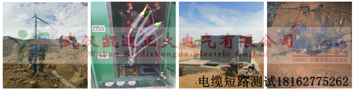黄瓜视频在线免费观看测试组图.png