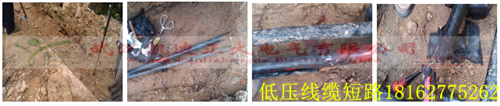 湖北大学校园黄瓜视频在线免费观看检测.png
