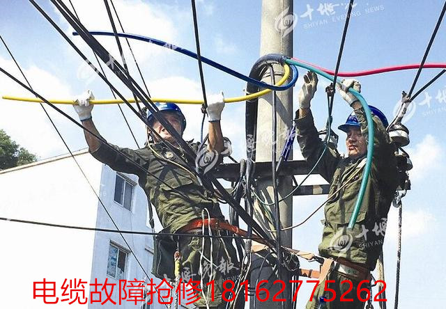 黄瓜视频在线免费观看测试.jpg