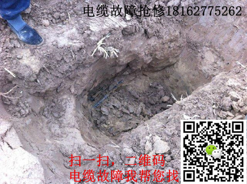 黄瓜视频在线免费观看点找出.jpg